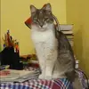 Отзыв от Варвара Долгова